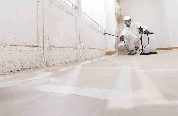 24/7 Emergency Mold Removal experts in Spring City, PA